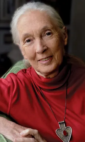 Dame Jane Goodall